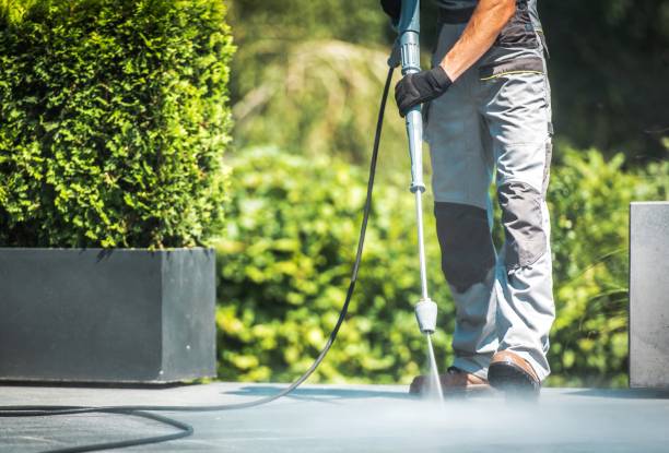 Best Driveway Pressure Washing  in Chama, NM