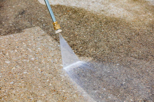 Best Driveway Pressure Washing  in Chama, NM